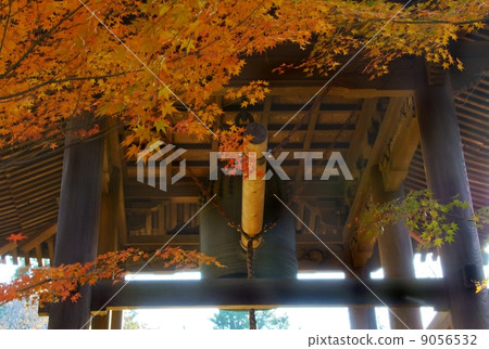 Autumn leaves of Hirin Autumn leaves of Hirin 9056532