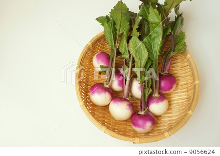 Ayame snow cover 9056624