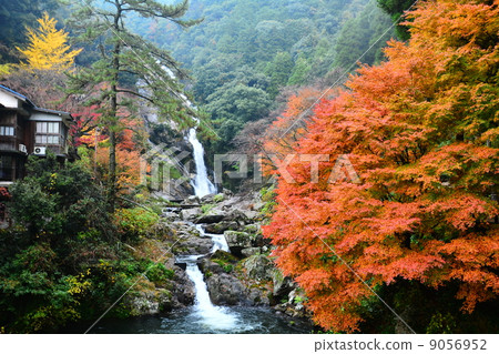 秋季樹葉和回歸的瀑布 9056952