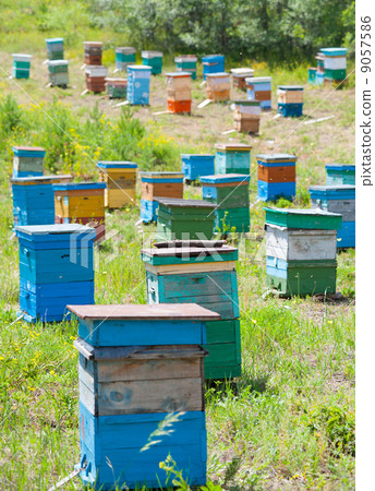 Siberian bee garden 9057586