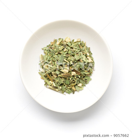 Echinacea leaf Echinacea leaf 9057662