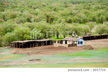 summer farm summer farm 9057759