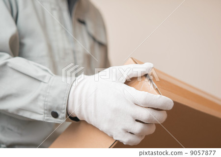 Cardboard and trader 9057877