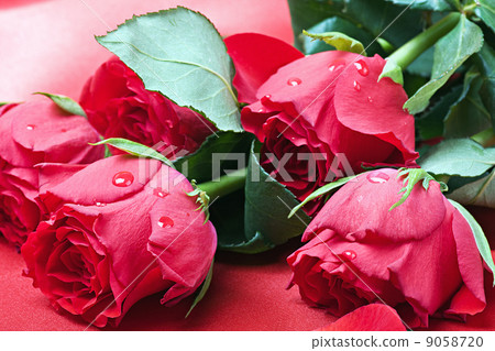 bouquet of red roses bouquet of red roses 9058720