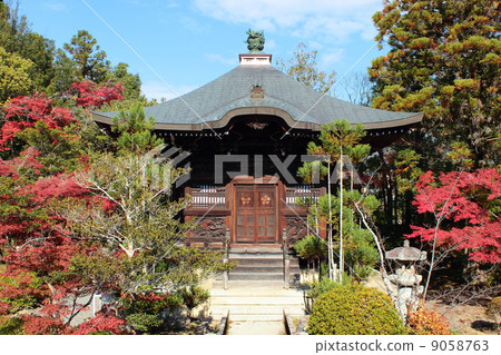 京都光洋寺Bentou 9058763