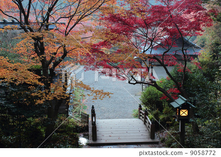 Kyoto Hyuga Okamiya Autumn leaves Kyoto Hyuga Okamiya Autumn leaves 9058772