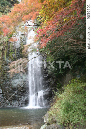 Autumnal waterfall Autumnal waterfall 9059201