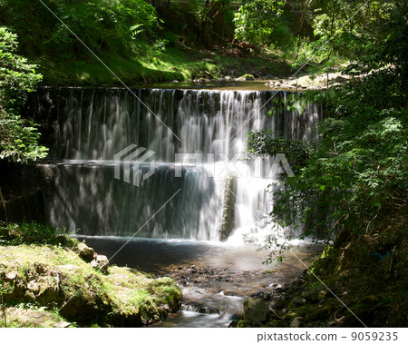 京都瀧川 京都瀧川 9059235