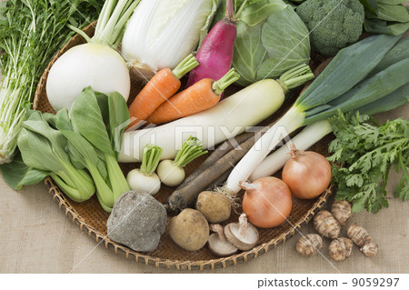 蔬菜 9059297