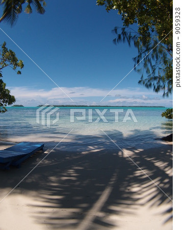 Palm trees and seas 9059328