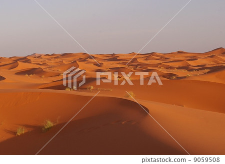 Sahara Desert 9059508