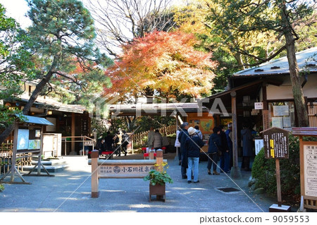 Koishikawa Korakuen Koishikawa Korakuen 9059553