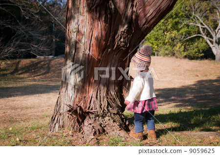 Big trees and girls Big trees and girls 9059625