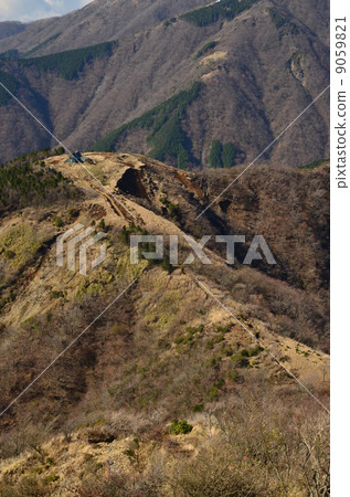 Tanzawa - Toriyo Mt. 9059821