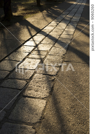 A cobblestone shining in the sunset A cobblestone shining in the sunset 9060260