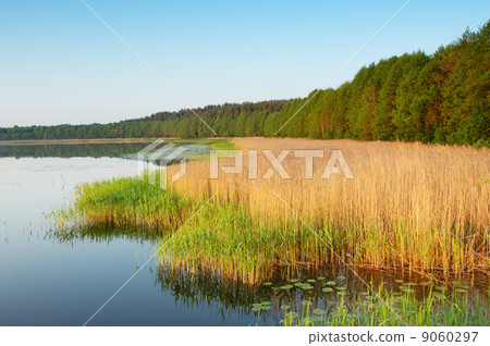 Coast of lake Coast of lake 9060297