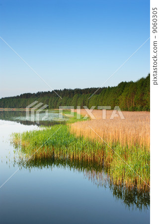 Coast of lake Coast of lake 9060305