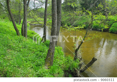 River in the forest River in the forest 9060311