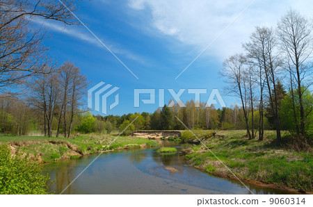 River in the forest River in the forest 9060314