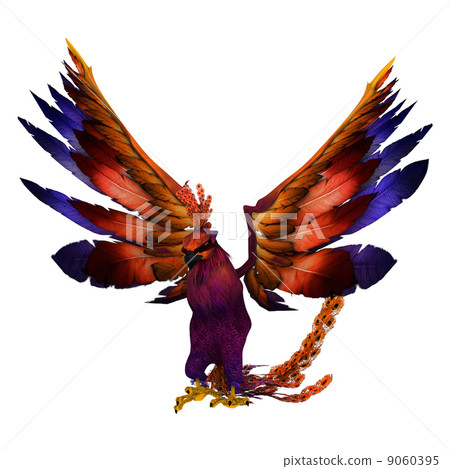 bird bird 9060395