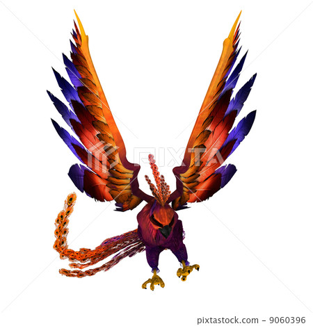 bird bird 9060396