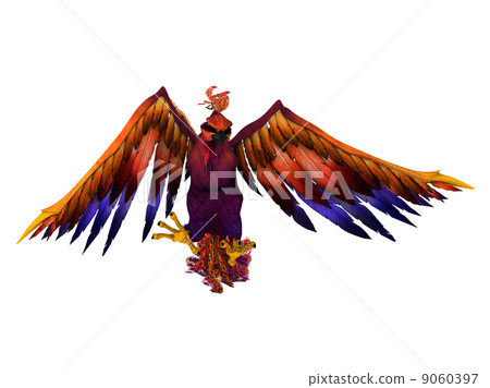 bird  9060397