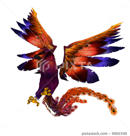 bird bird 9060398