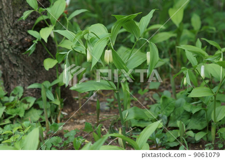 My name is Takara Grasshopper. My name is Takara Grasshopper. 9061079