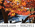 Maple 03 9062951