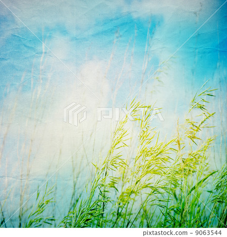 Grunge paper texture.  abstract nature background 9063544
