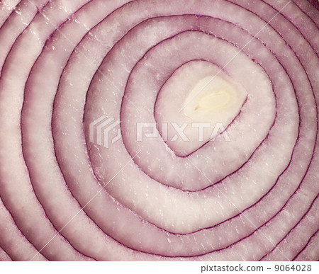 sliced red onion on white background 9064028