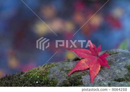 旁邊是紅色 旁邊是紅色 9064288
