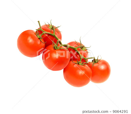 cherry tomato cherry tomato 9064291