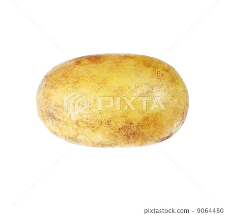potato isolated on white background close up 9064480