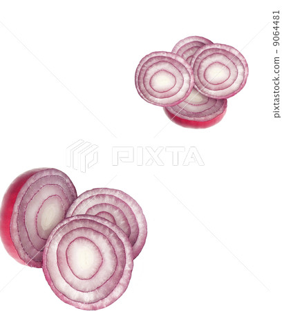 the sliced red onion on white background 9064481