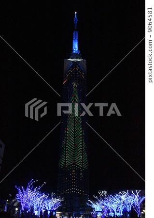 Huge tree of Fukuoka Huge tree of Fukuoka 9064581