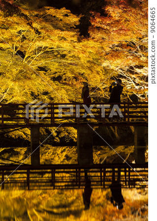 Iwayado's autumn leaves light up 9064665