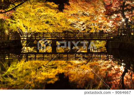 Iwayado's autumn leaves light up 9064667