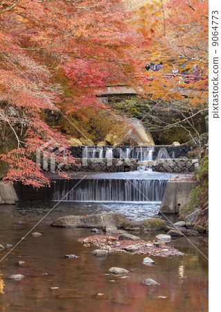 Autumn leaves of Iwadoyado 9064773