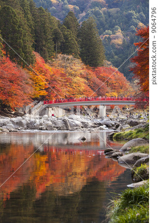 Konami河秋葉 9064796