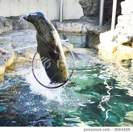 印章 印章 9064889