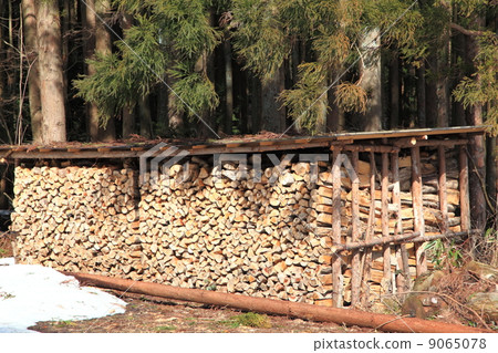 Stacked firewood Stacked firewood 9065078