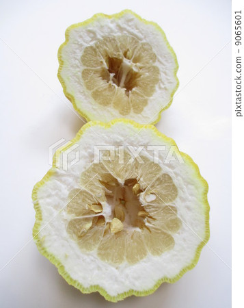 Luncheon lion Yuzu Ogre citron 9065601