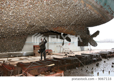 Shipyard worker cleans the ship stuya water 9067118