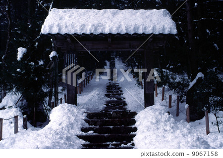冬天在京都Kotenji寺 冬天在京都Kotenji寺 9067158
