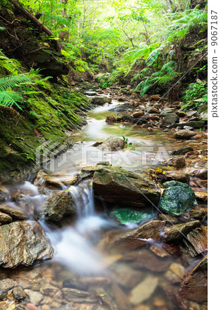 Clear current of Yanbare (Ibe River) 9067187