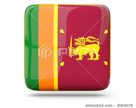 Square icon of sri lanka Square icon of sri lanka 9068076