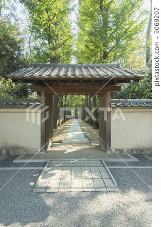 和服小姐 和服小姐 9069207