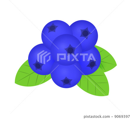 blueberry 9069397
