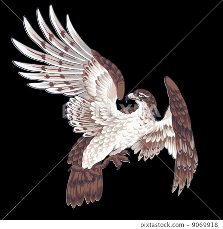 Japanese Pattern Hawk - Stock Illustration [9069918] - PIXTA